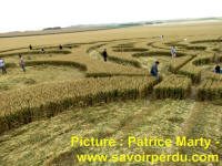 Avebury Stone Circle, Wiltshire crop circle, aerial photo 66